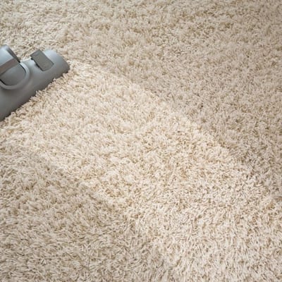 Floor & Carpet
